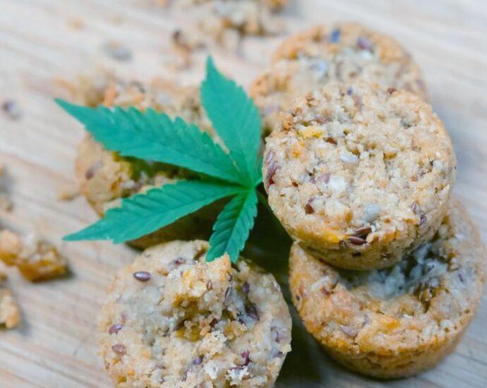 cannabis edibles