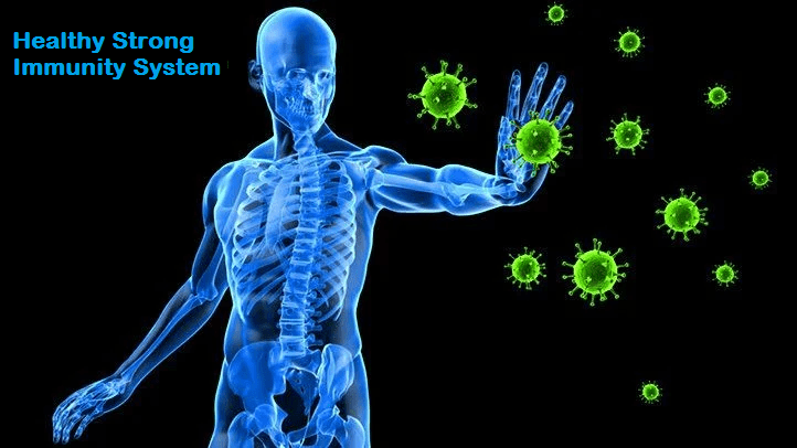 A Strong, Effective Immune System